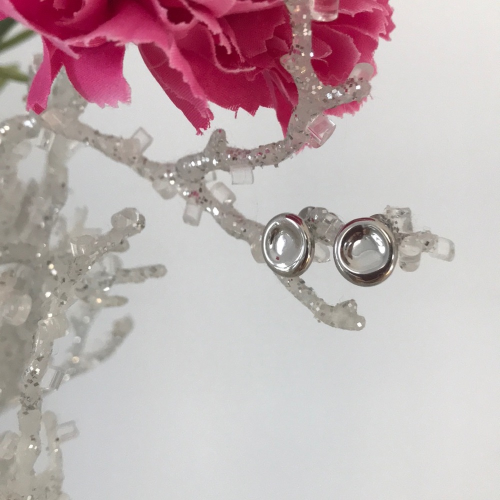 Denmark design Skagen silver tone  stud earrings